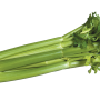 9FA843E3-8B95-46EC-B1B8D310F10B67CC.png