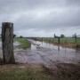 flooding
