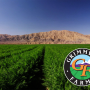 grimmway farms WEB.png