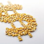 “Ethanol will not have a growth future. It will have a decline future. You better find a home for the grain, and it better be livestock,” Michael Swanson says. 