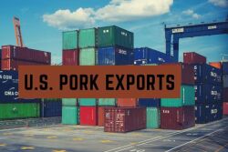 U.S. Pork Exports