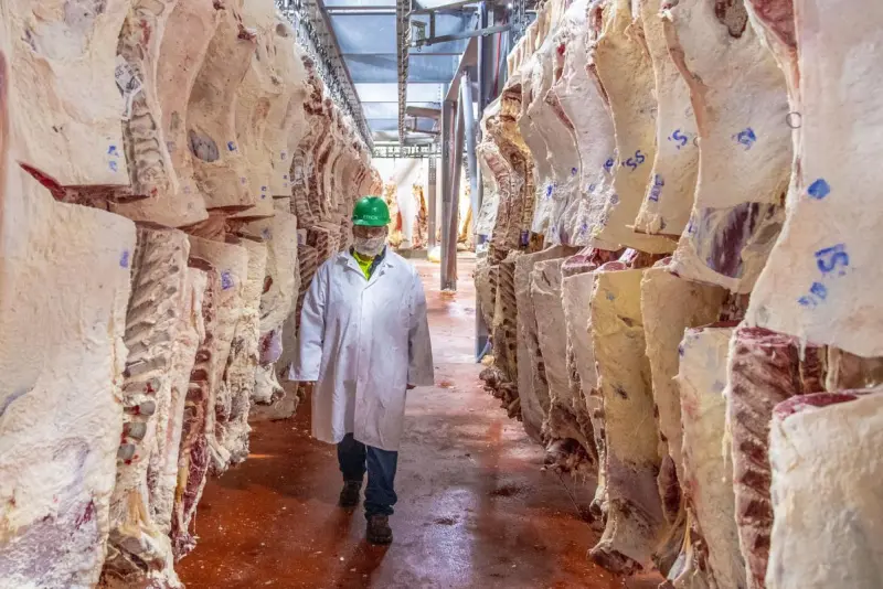 Beef Packing Industry 2025: Small Plants Grow in Number While Large Plants Lose Market Share