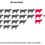 Even for a 20-cow herd, a drop from 100% cows pregnant to 85%, has big financial implications. 