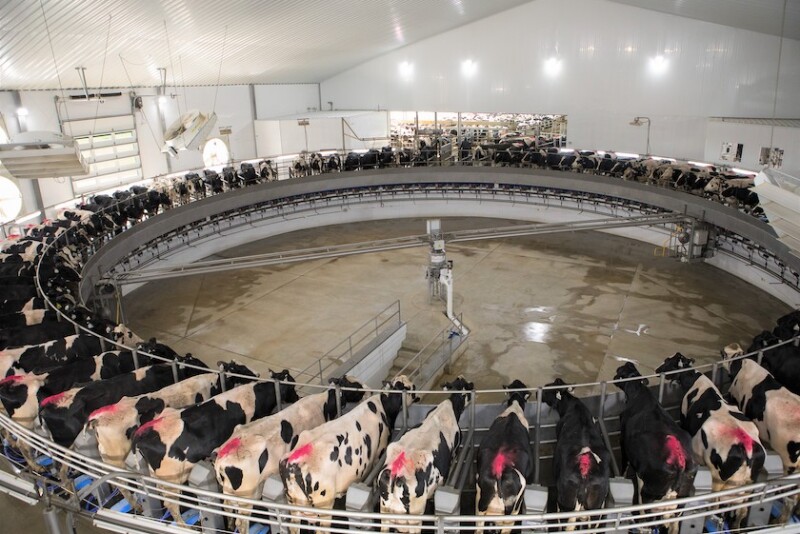 Phil Plourd anticipates the feed situation to remain volatile and generally expensive over the medium-term, if not longer.