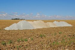 Always base your lime applications on soil test results from reputable labs.