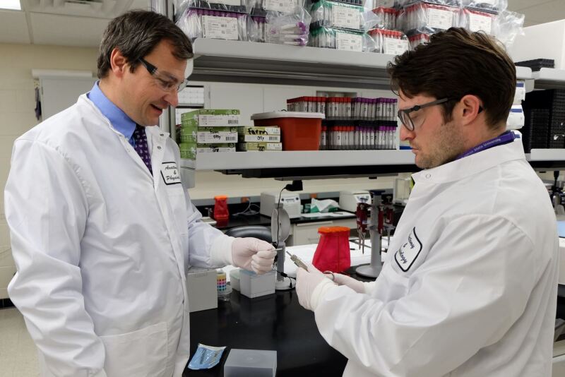 Andrew Curtis (right), doctoral research assistant works in the laboratory with Hans Coetzee (left), professor and head of the anatomy and physiology department.