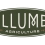 Illume-ag.jpg