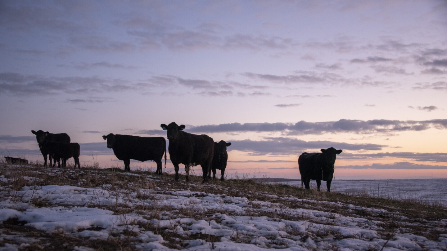 Five New Year’s Resolutions for 2025