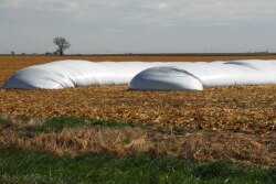 Indigo will lease existing bags or bins to store grain earmarked for the program or finance grain-bagging systems at no upfront cost for farmers who grow corn, soybeans and wheat.