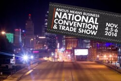 Angus Convention