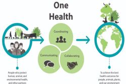 U.S. Centers for Disease Control and Prevention