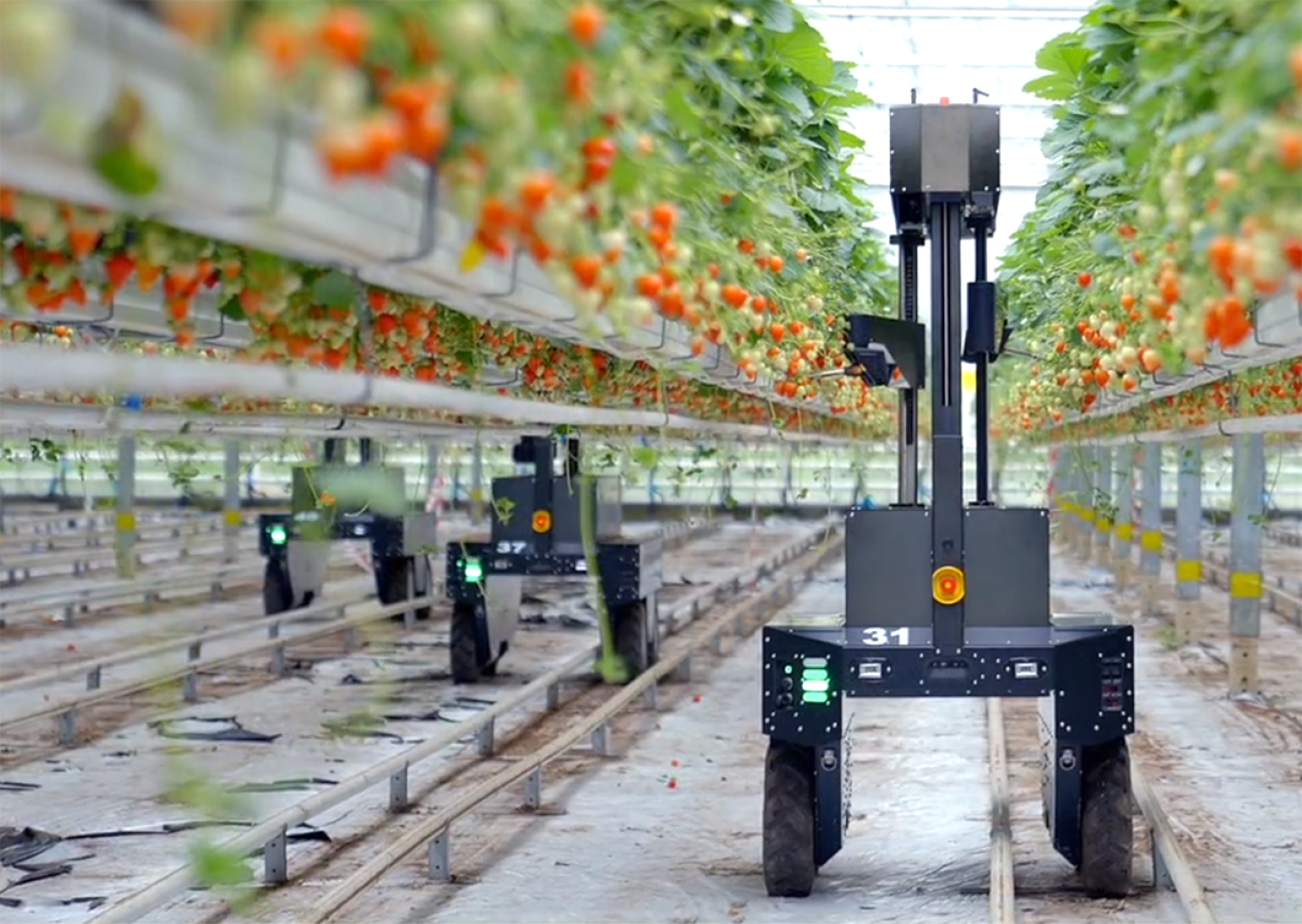 Image 2 for Agtech Firm Implements Humanoid Robots in Vertical Farming