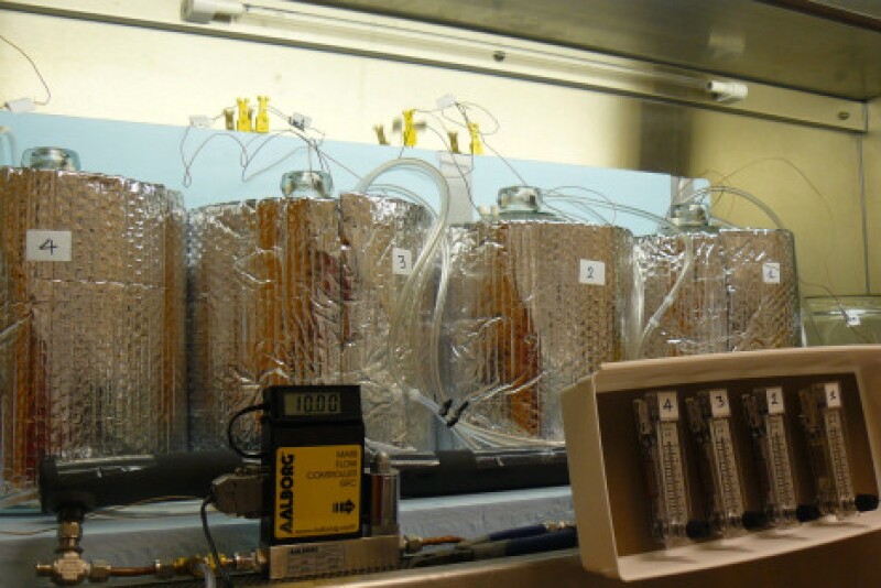 The researchers tested lab-scale aerobic digestion using tanks containing chicken carcasses, water and low levels of oxygen. Further research may test the concepts at field scale.
