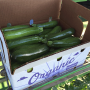L&M has increased its acreage of organic vegetables in Florida, including zucchini.
