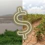 weather_crop_insurance_dollar_sign.jpeg