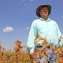 More people are diagnosed with skin cancer each year than all other cancers combined, and farmers are in the crosshairs of the most high-risk skin cancer category.