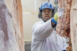 Meat inspector