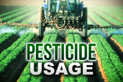 Pesticide risk to sea mammals