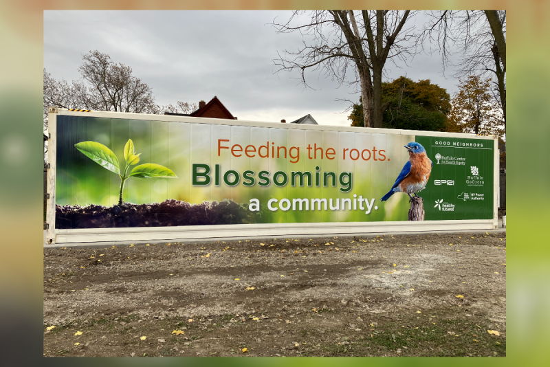 Buffalo urban container farm