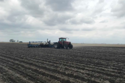 This week rumors swirled throughout farm country that Secretary Perdue would either use the disaster aid bill to help farmers sidelined by Mother Nature or would make prevent plant acres eligible for a Market Facilitation Program (MFP) payment. 