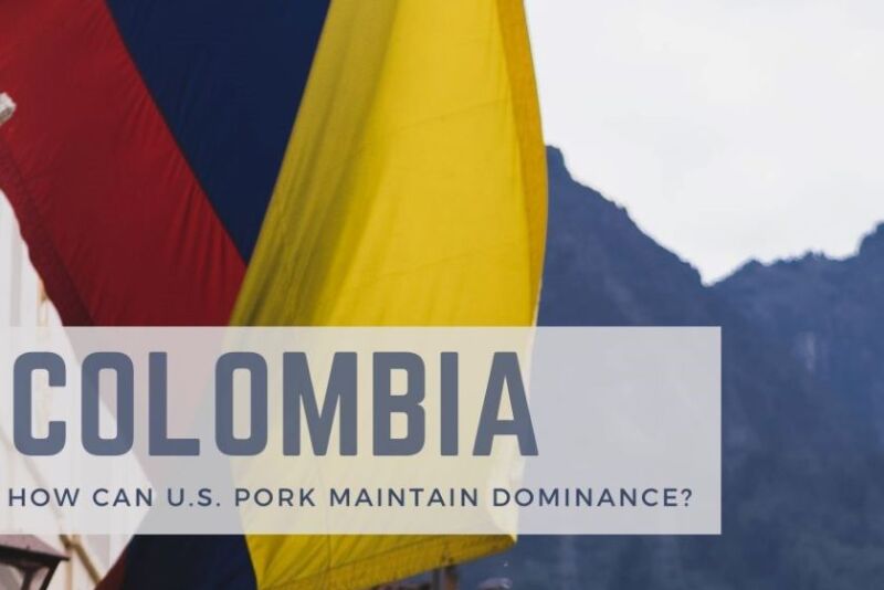 Colombia Pork Study