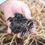 “In my view, the regenerative ag movement can focus more on the biological aspects,” North Dakota crop consultant Lee Briese says. 