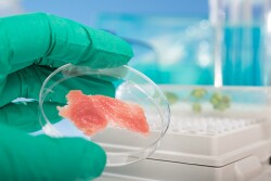 Montana's Real Meat Act requires that products labeled as “meat” must be “derived from the edible flesh of livestock or a livestock product.”