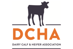DCHA_Logo