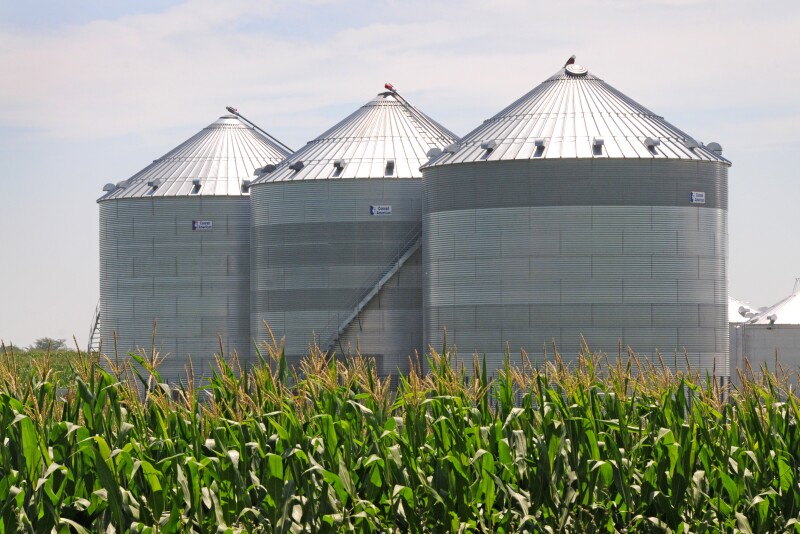 Corn production is forecast at 13.9 billion bushels, up 26 million from the July projection as a decline in harvested acres is virtually offset by an increase in yield. 