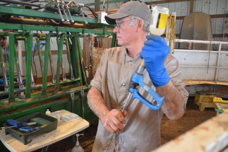 While lesions are sometimes unavoidable, there are management practices that veterinarians and cattle producers can abide by to protect animal welfare and maintain meat quality.