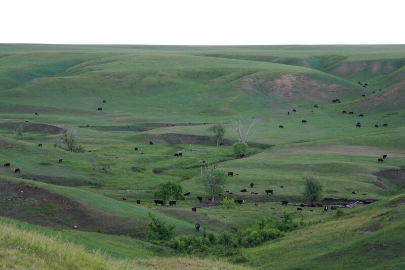 Cheyenne River Ranch
