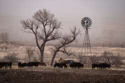 Smokehouse_Creek_SC_0360.jpg