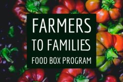7D198F71-AF23-4C7C-844F2C9B6C72BCD4.jpg
