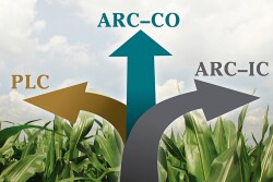 ARC versus PLC
