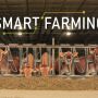 Dairy Smart Farming