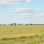 Prevented planting decisions are always difficult, but market and policy dynamics make 2019 decisions even more difficult.