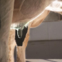 More than 50% of new udder infections can be prevented by disinfecting teats with an effective product immediately after every milking.