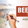 Beef outlook
