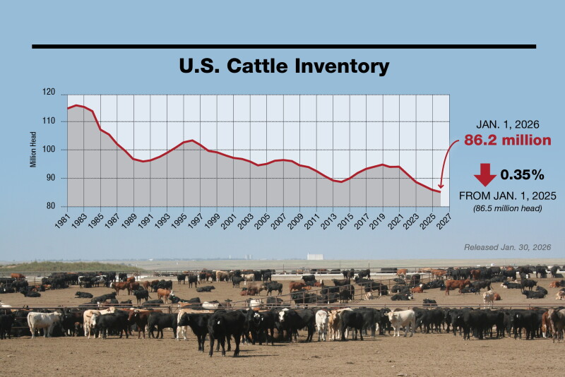 Sample Beef Inventory U.S. Cattle Inventory Hits 75-Year Low at 86.2 Million Head - AgWeb
