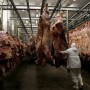 Beef packing plant