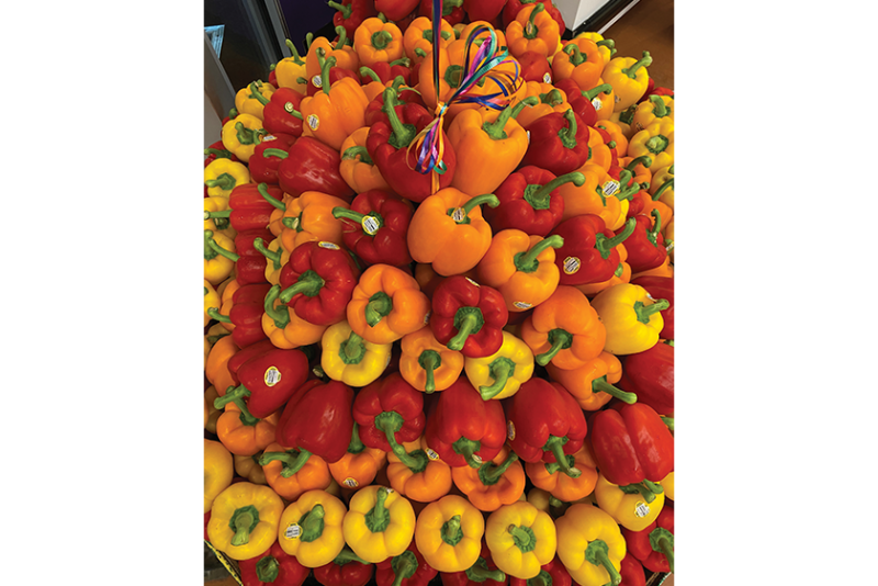 red orange yellow bell peppers