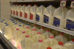 Lack of Pacific trade deal will hurt U.S. dairy sales.