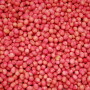 soybean seed