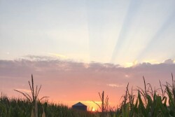 Here’s how to start, continue and succeed in your farm’s transition plan.