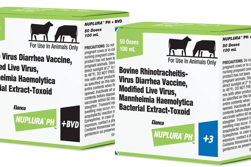 The product offers proven performance against Mannheimia haemolytica, while adding protection against common viral causes of BRD, including BVD Types 1 and 2 and IBR.