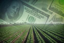 Most farmers know that if they collect crop insurance, they are allowed in most cases to defer those proceeds for one year. But in many cases, they can't defer all of it.