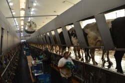 In 2017, just 13 counties across the country were needed produce 25% of the nation’s milk. New to the top 25% production list in 2019 were Hartley, Tex., and Madera, California. Chavez, N.M., dropped off the list.