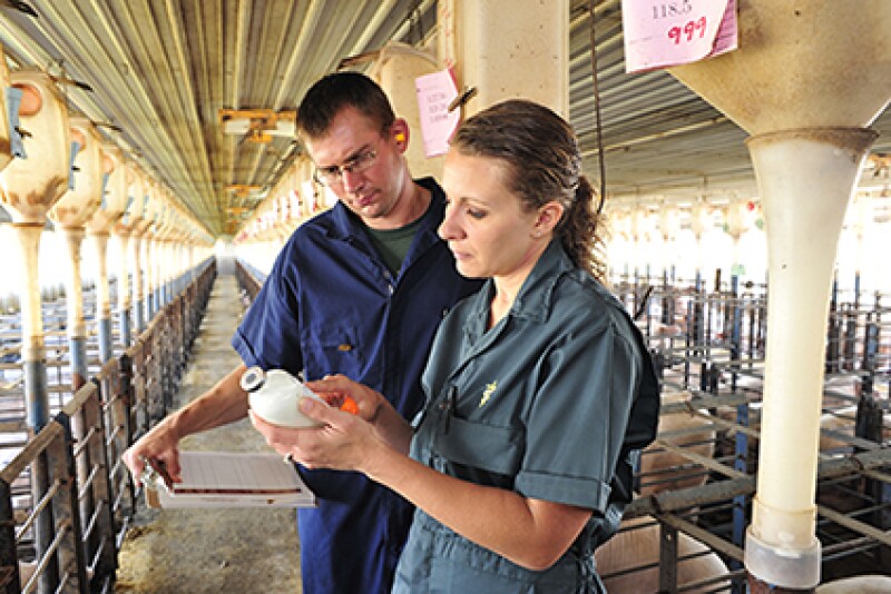 Veterinarian