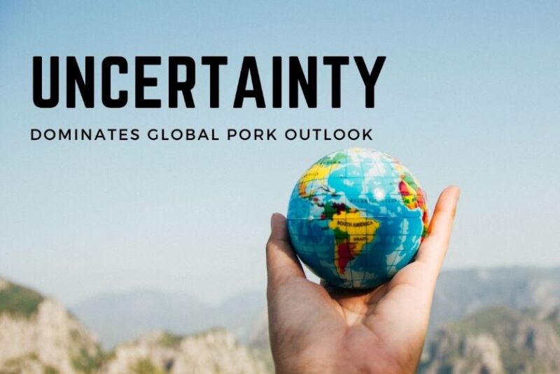 Uncertainty in Global Pork Outlook