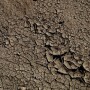 dry ground